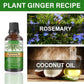 30ml Rosemary Hair Care Essential Oil | Rosemary Essential Hair Oil